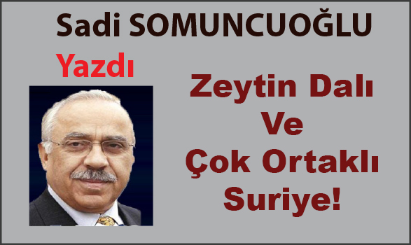 Zeytin Dalı Ve Çok Ortaklı Suriye!